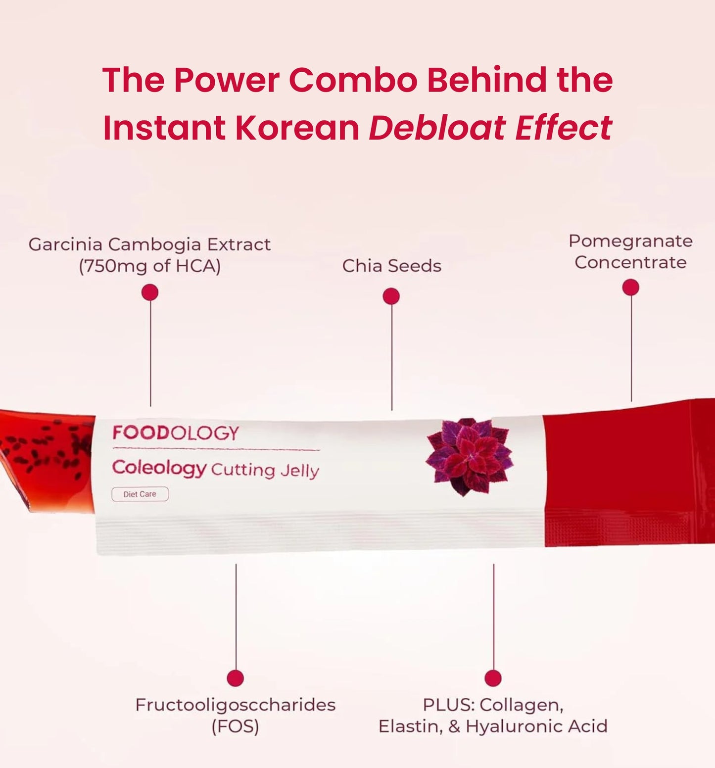 Foodology - Korean Debloat Jelly