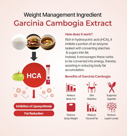 Foodology - Korean Debloat Jelly