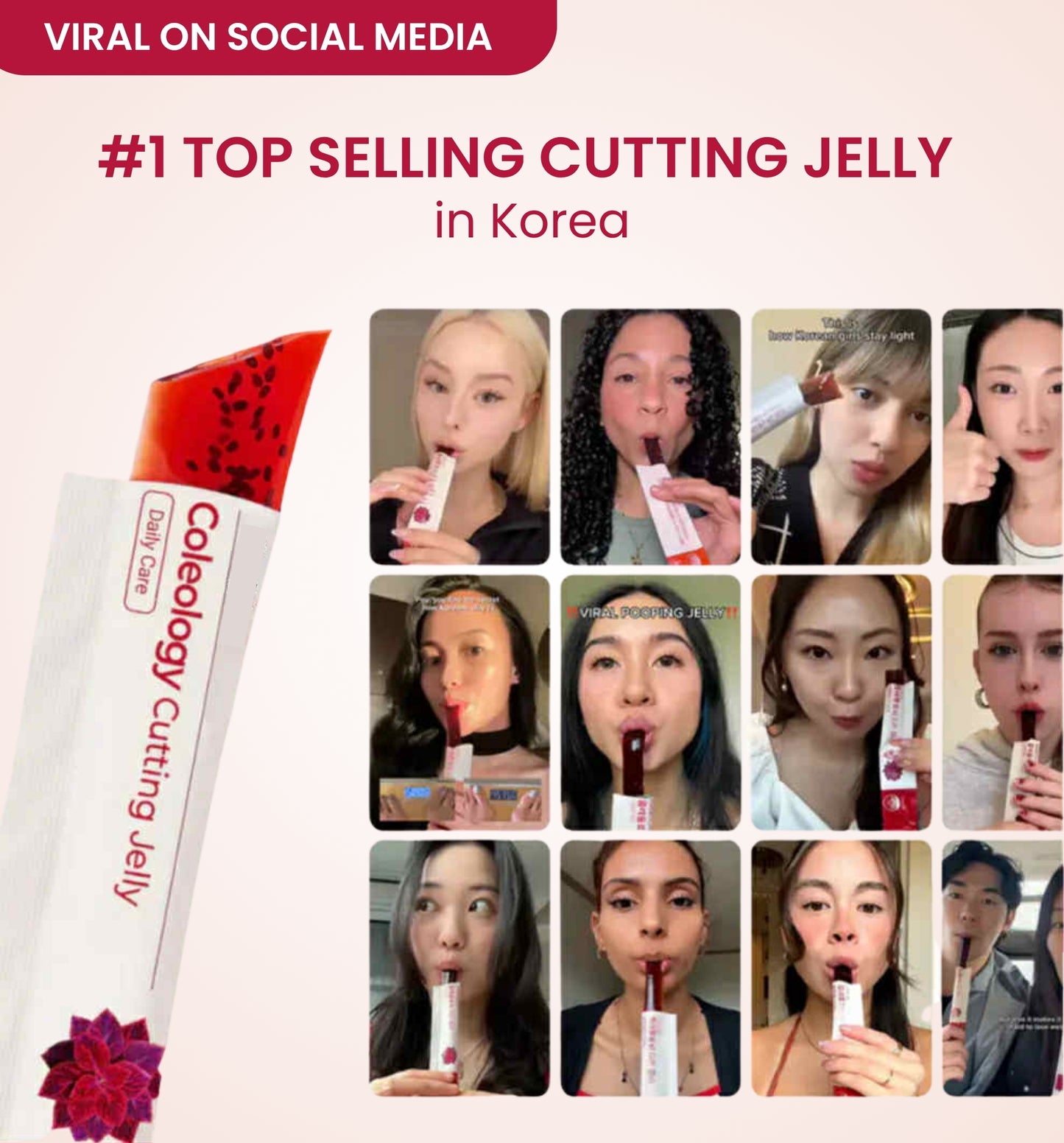 Foodology - Korean Debloat Jelly