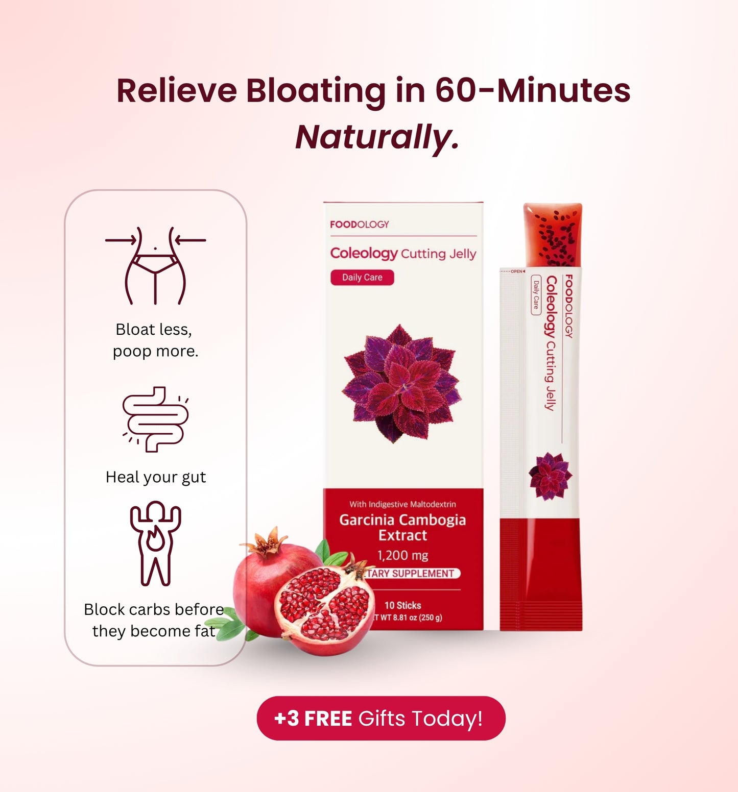 Foodology - Korean Debloat Jelly