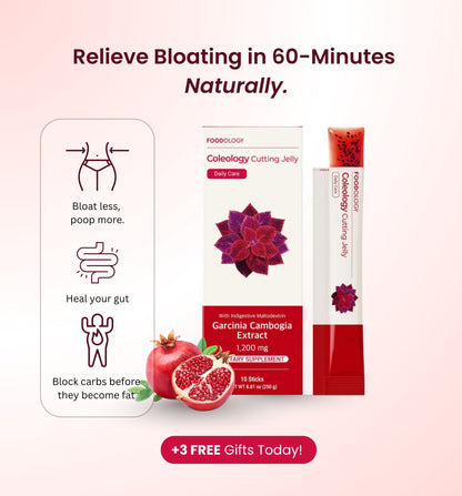 Foodology - Korean Debloat Jelly