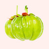 Garcinia Cambogia